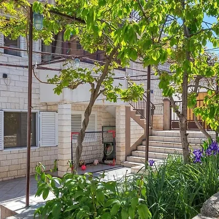 Bella * Τρογκίρ